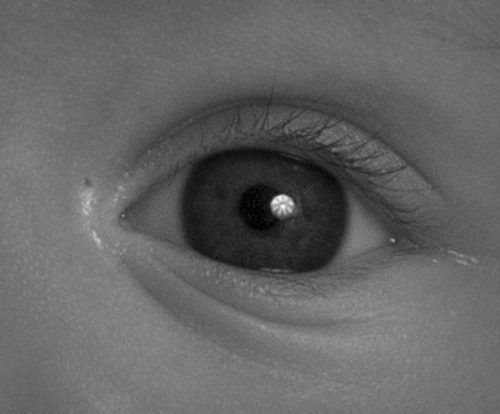 Fotógrafo profesional en Madrid