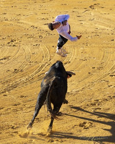 eventos taurinos (1)
