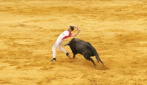 eventos taurinos (8)