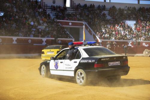 k9 (15)