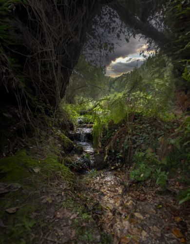 paisajes (1)
